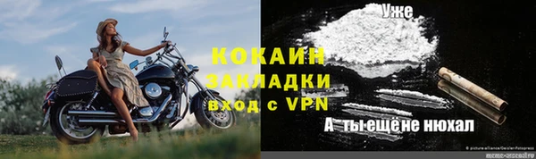 трава Наволоки