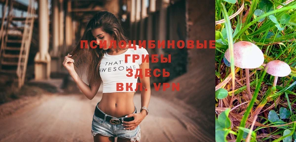 ALPHA-PVP Надым