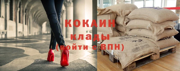 трава Наволоки