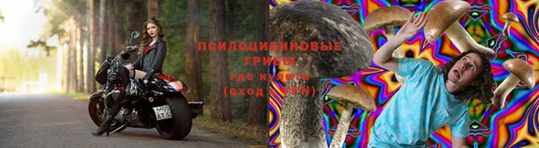 трава Наволоки