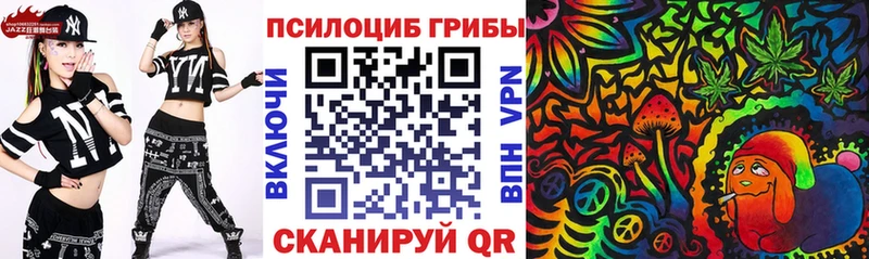 Галлюциногенные грибы Magic Shrooms  Купить закладки  Устюжна 